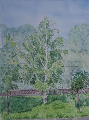 Birken - Elke Grund - Array auf Array - Array - Array Birken - Elke Grund - Array auf Array - Array - Array