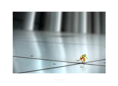 Barrater - Robert J. KAYSER - Array auf - Array - Barrater - Robert J. KAYSER - Array auf - Array -