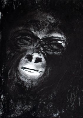 ---Schimpanse - Beate Weinstein - auf - Array - ---Schimpanse - Beate Weinstein - auf - Array -