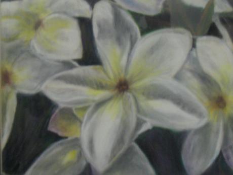 Weiße Lilien - Gerhard Titz - Array auf Array - Array - Array Weiße Lilien - Gerhard Titz - Array auf Array - Array - Array