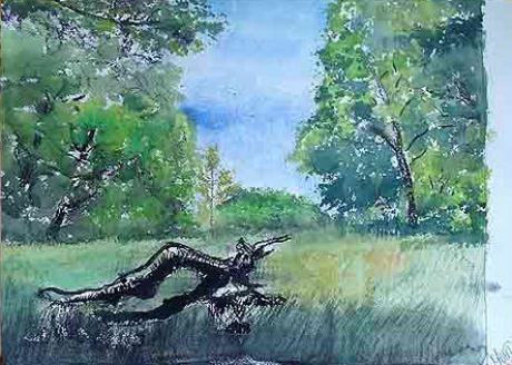 Park - Moor Alfi - Array auf Array - Array - Array Park - Moor Alfi - Array auf Array - Array - Array