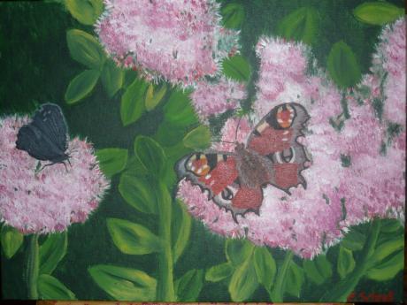 Tagpfauenauge - Edith Schroll - Array auf Array - Array - Array Tagpfauenauge - Edith Schroll - Array auf Array - Array - Array