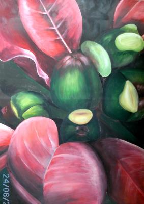 Weihnachtsstern - Johanna Gmoser - Array auf Array - Array - Array Weihnachtsstern - Johanna Gmoser - Array auf Array - Array - Array