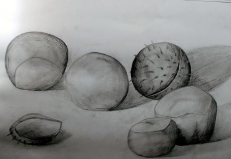 Esskastanien - Johanna Gmoser - auf - Array - Esskastanien - Johanna Gmoser - auf - Array -