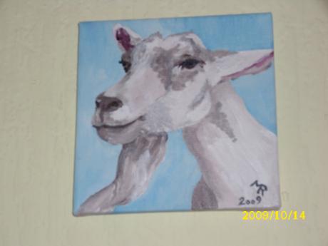 Ziege im Wind - Rabehl - Array auf Array - Array - Array Ziege im Wind - Rabehl - Array auf Array - Array - Array