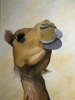 Kamel - Christian Halsner - Array auf Array - Array - Array