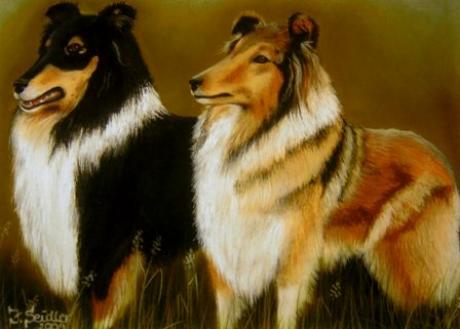 Collies - Jana Seidler - Array auf Array - Array - Array Collies - Jana Seidler - Array auf Array - Array - Array