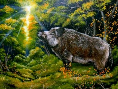 Keiler im Herbstwald - Jana Seidler - Array auf Array - Array - Array Keiler im Herbstwald - Jana Seidler - Array auf Array - Array - Array