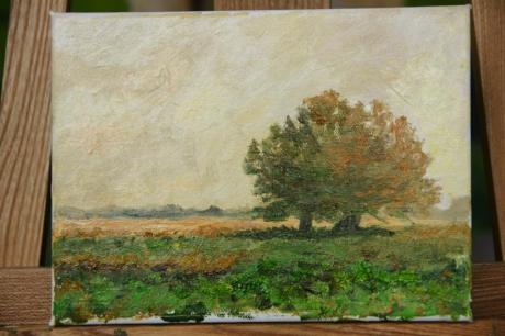 Mecklenburger Sommer - Rene Klein - Array auf Array - Array - Array Mecklenburger Sommer - Rene Klein - Array auf Array - Array - Array