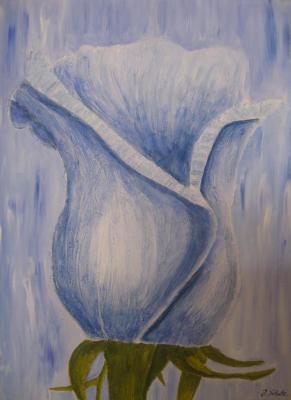 Blue - Jana Osti - Array auf Array - Array - Array Blue - Jana Osti - Array auf Array - Array - Array