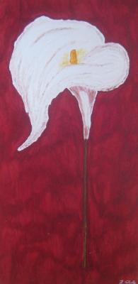 Calla 1 - Jana Osti - Array auf Array - Array - Array Calla 1 - Jana Osti - Array auf Array - Array - Array