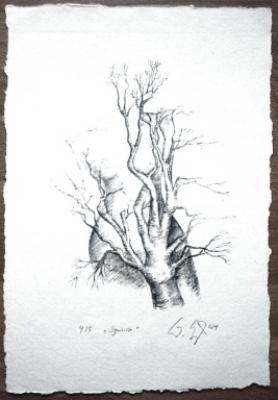 Symbiose - wolfkunst - auf - Array - Symbiose - wolfkunst - auf - Array -