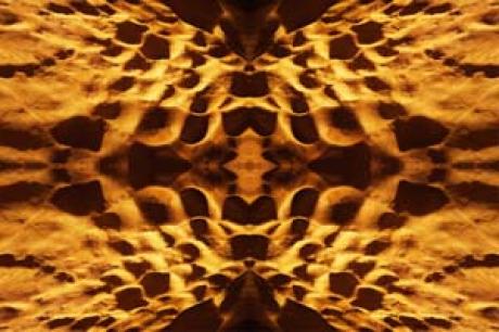 Steinhaut -  megado -  auf  - Array - 