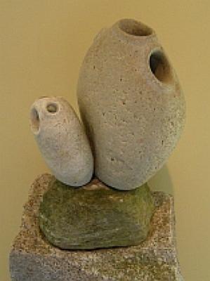 Tunicates - Thomas Berger - auf - Array - Tunicates - Thomas Berger - auf - Array -