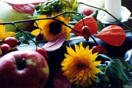 Stilleben I - dk - auf - Array - Stilleben I - dk - auf - Array -