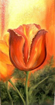 Tulpe... - Sophie Moliso - Array auf Array - Array - Tulpe... - Sophie Moliso - Array auf Array - Array -