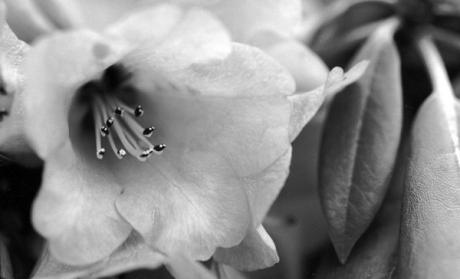 Looking out - Dirk Christians - auf - Array - Looking out - Dirk Christians - auf - Array -