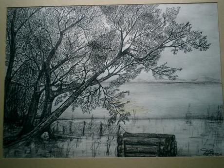 trees / bäume stimmungsbild - tompaint - auf Array - Array - trees / bäume stimmungsbild - tompaint - auf Array - Array -