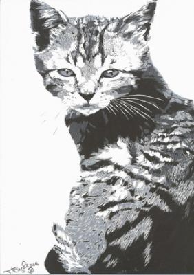 Kätzchen 35 - T.Niegsch - Array auf Array - Array - Kätzchen 35 - T.Niegsch - Array auf Array - Array -