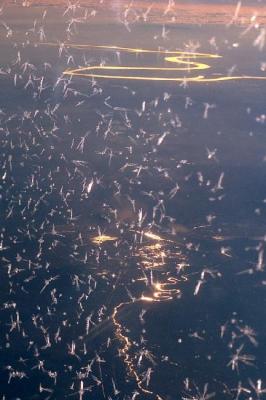 airplane view - havadi - auf - Array - airplane view - havadi - auf - Array -