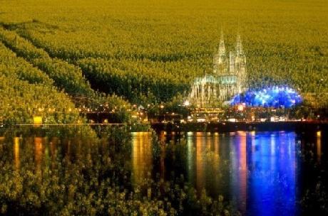 Frühling #1 - havadi - auf - Array - Frühling #1 - havadi - auf - Array -