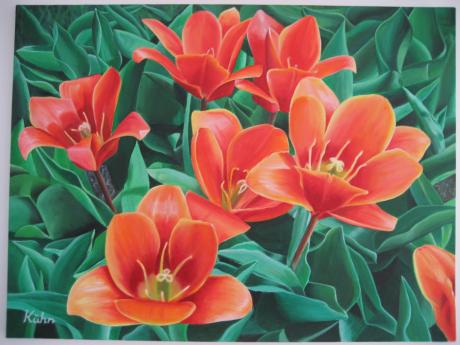 Tulpen - andreas Kühn - Array auf Array - Array - Array Tulpen - andreas Kühn - Array auf Array - Array - Array