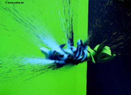 Vaine - Einzug ins Blaue - Vaine - auf Array - Array - Vaine - Einzug ins Blaue - Vaine - auf Array - Array -