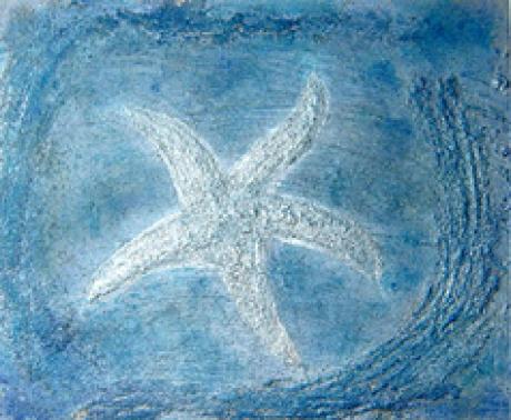 Seestern - Ciara - Array auf Array - Array - Seestern - Ciara - Array auf Array - Array -