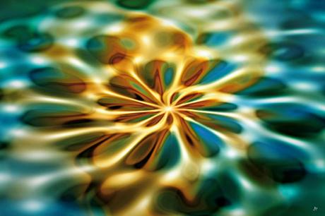 Organic - Maik Maik Przybylski - auf Array - Array - Array Organic - Maik Maik Przybylski - auf Array - Array - Array