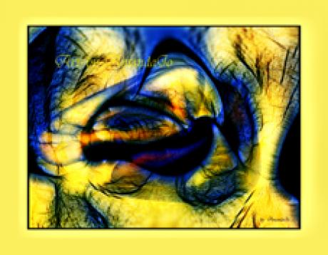 Labyrinth No-2 - AmandaJo - auf - Array - Labyrinth No-2 - AmandaJo - auf - Array -