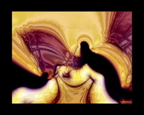 Enlightened No-5 - AmandaJo - auf - Array - Enlightened No-5 - AmandaJo - auf - Array -