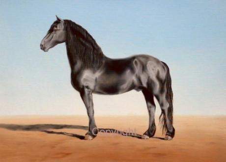 Friesenhengst - Klaus Heilmann - Array auf Array - Array - Friesenhengst - Klaus Heilmann - Array auf Array - Array -