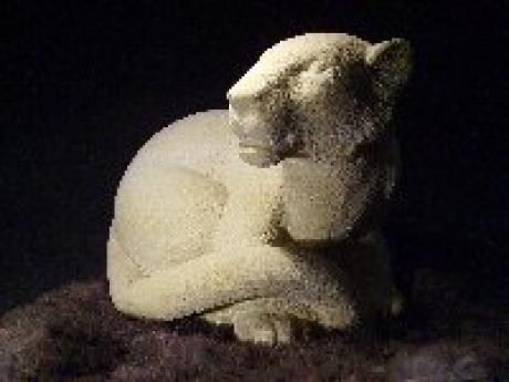 Junger Tiger - La Balaize - auf - Array - Junger Tiger - La Balaize - auf - Array -