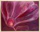 Cyclame - K. Brandrup - Acryl auf Leinwand - Sonstiges - Cyclame - K. Brandrup - Acryl auf Leinwand - Sonstiges -