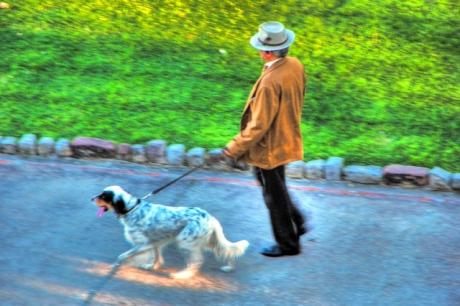 Walk in the park - gismokugel - auf - Array - Walk in the park - gismokugel - auf - Array -