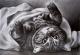 Schmusekater - XS Arts - auf - Sonstiges - Schmusekater - XS Arts - auf - Sonstiges -