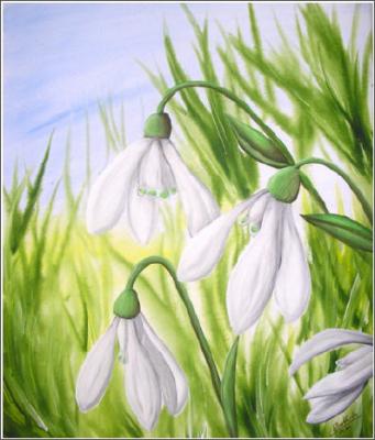 Frühling - Shyleen - Array auf Array - Array - Frühling - Shyleen - Array auf Array - Array -