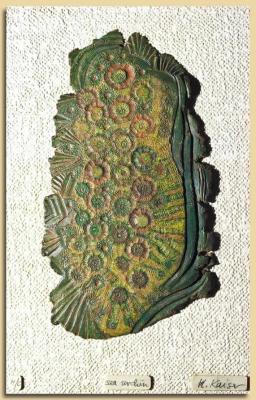 sea urchin (Seeigel) - Heinz-Friedrich Kaiser - Array auf - Array - sea urchin (Seeigel) - Heinz-Friedrich Kaiser - Array auf - Array -