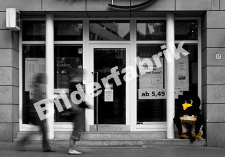 Pinguin - Bilderfabrik - auf - Array - Pinguin - Bilderfabrik - auf - Array -