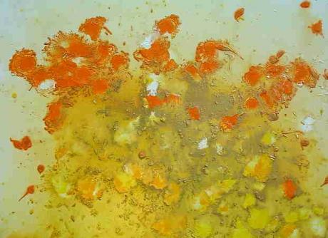 L´espace - Eva Rose - Array auf Array - Array - L´espace - Eva Rose - Array auf Array - Array -