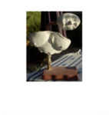 Installation, Gips in Wasserleitung - pjotr - auf - Array - Installation, Gips in Wasserleitung - pjotr - auf - Array -