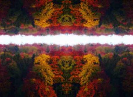 OdinAndHisDogs -  surRAelatic ART -  auf  - Array - 