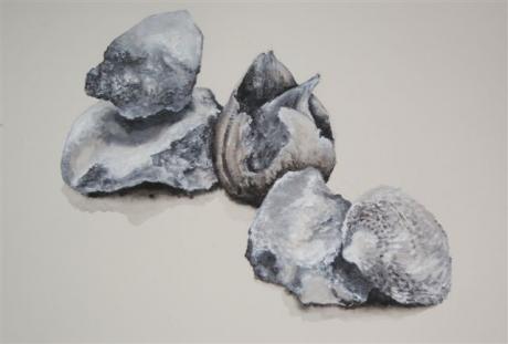 Stones, Coral and Shell - Elena Gratzer - Array auf Array - Array - Stones, Coral and Shell - Elena Gratzer - Array auf Array - Array -