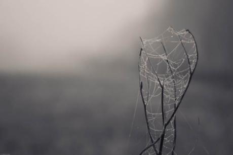 morgengrau - Mirko Bartenwerfer - auf Array - Array - morgengrau - Mirko Bartenwerfer - auf Array - Array -