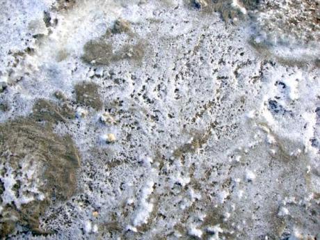 Strandmuster - A.Tschiersch - auf Array - Array - Strandmuster - A.Tschiersch - auf Array - Array -