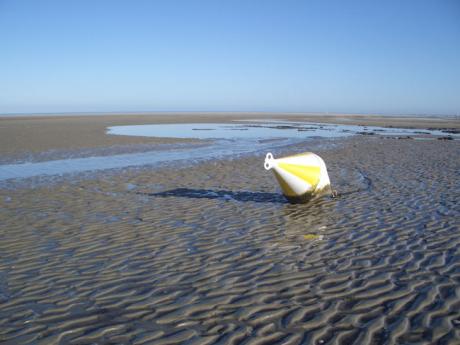 Weitblick - A.Tschiersch - auf Array - Array - Weitblick - A.Tschiersch - auf Array - Array -