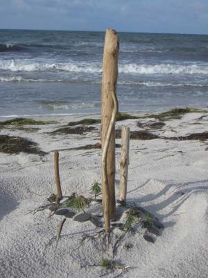 Holzskulptur_2 - A.Tschiersch - auf Array - Array - Holzskulptur_2 - A.Tschiersch - auf Array - Array -