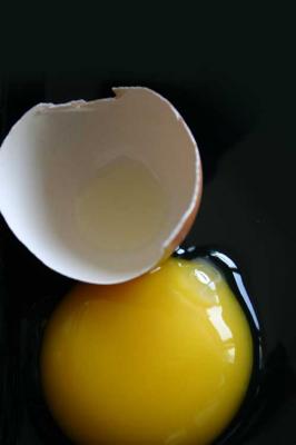 Das Ei, mal ganz groß - Maria grafikecetera - auf - Array - Das Ei, mal ganz groß - Maria grafikecetera - auf - Array -