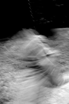 zeitgenössische Fotografie - Ha. gner - auf - Array - zeitgenössische Fotografie - Ha. gner - auf - Array -