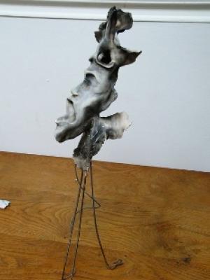 Schmerz - Dareus II - auf - Array - Schmerz - Dareus II - auf - Array -